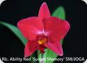 Rlc. Ability Red Sunset Memory